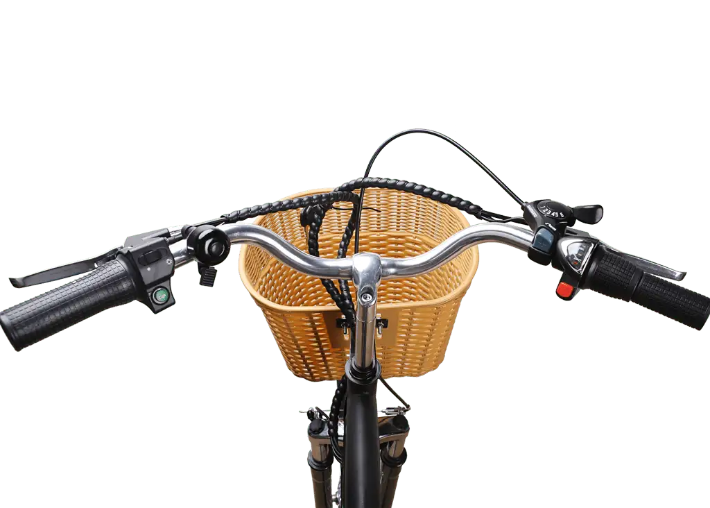 NAKTO 26' CamelElectric BicycleEvolveRide