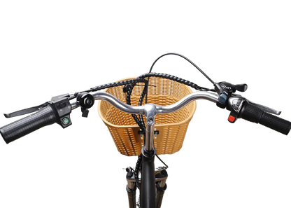 NAKTO 26' CamelElectric BicycleEvolveRide