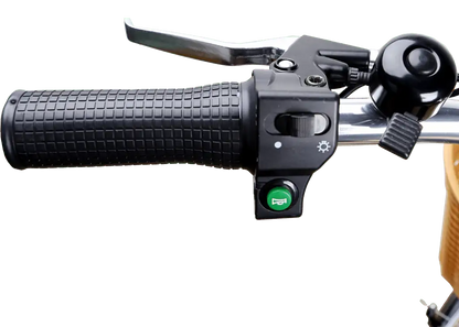 NAKTO 26' CamelElectric BicycleEvolveRide
