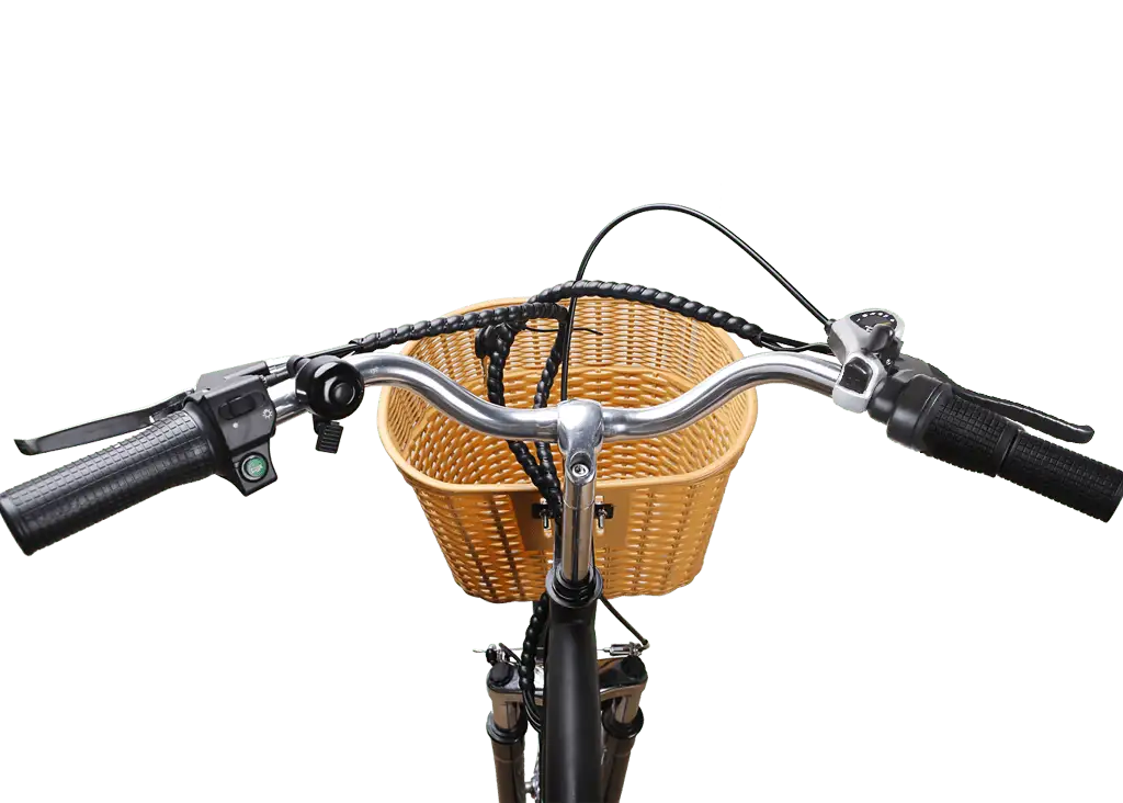 NAKTO 26' CamelElectric BicycleEvolveRide