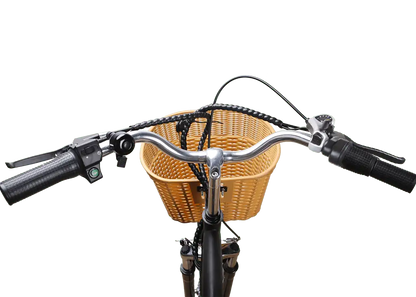 NAKTO 26' CamelElectric BicycleEvolveRide