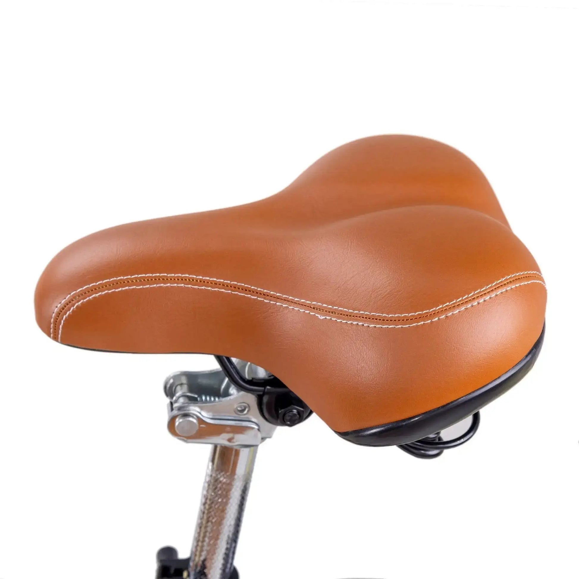 NAKTO 26" Classic 2Electric BicycleEvolveRide