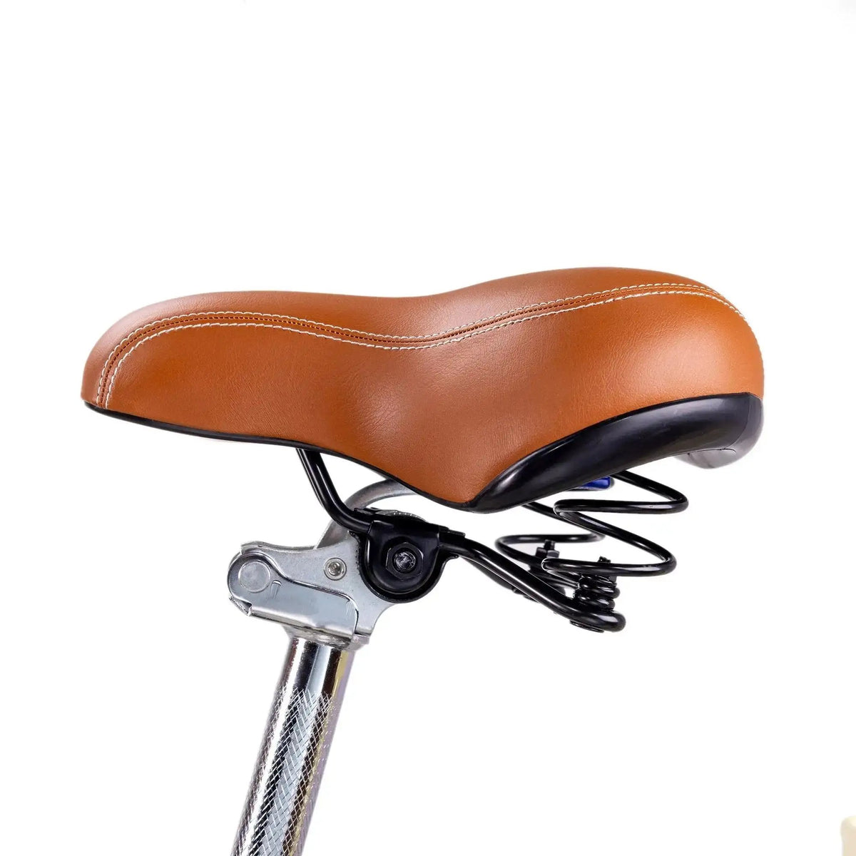 NAKTO 26" Classic 2Electric BicycleEvolveRide
