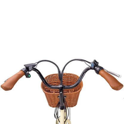 NAKTO 26" Classic 2Electric BicycleEvolveRide