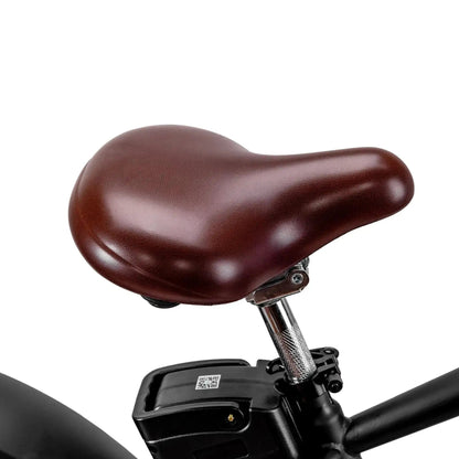 NAKTO 26" Cruiser 2Electric BicycleEvolveRide