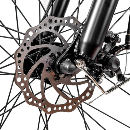 NAKTO 26" Cruiser 2Electric BicycleEvolveRide