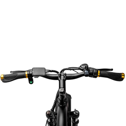 NAKTO 26" Cruiser 2Electric BicycleEvolveRide