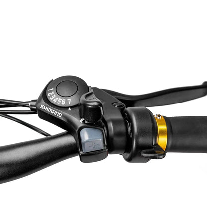 NAKTO 26" Cruiser 2Electric BicycleEvolveRide