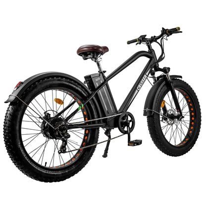 NAKTO 26" Cruiser 2Electric BicycleEvolveRide