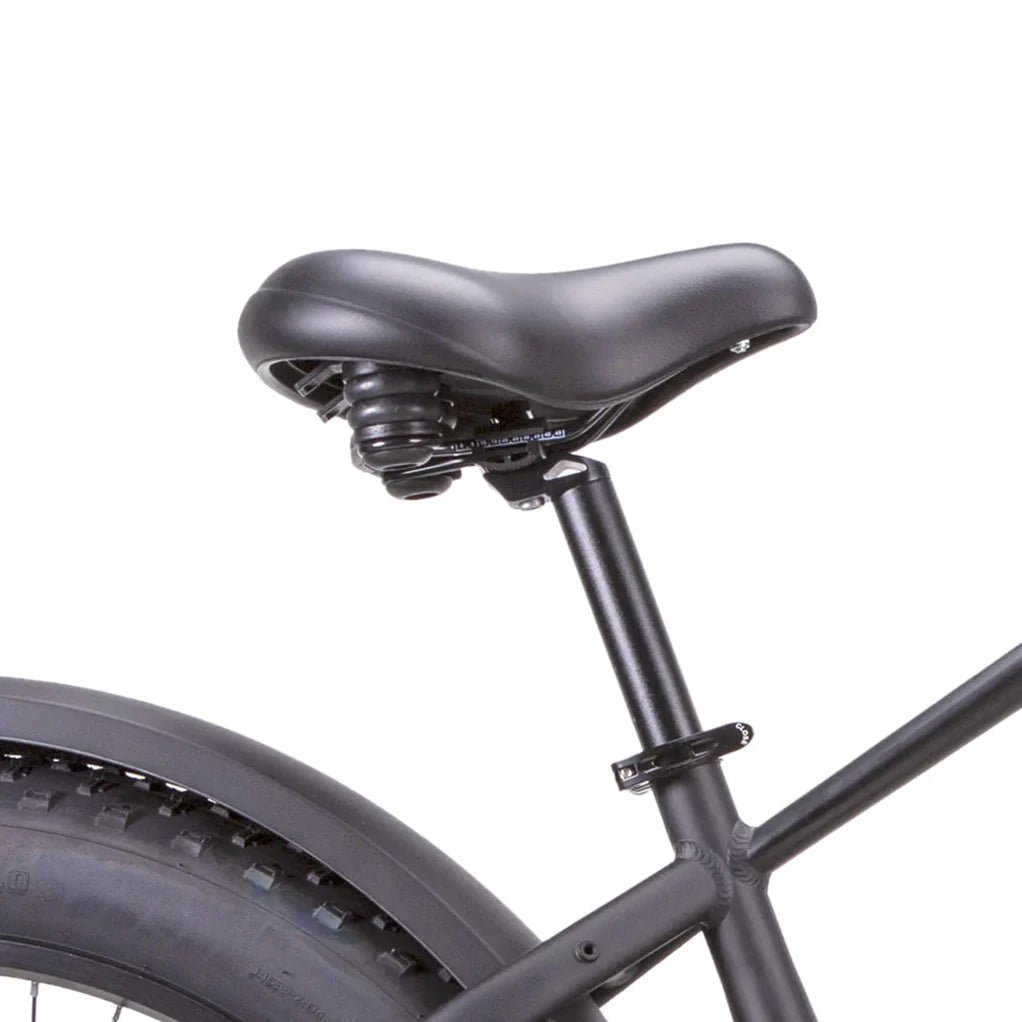 NAKTO 26'' F6 BlackElectric BicycleEvolveRide