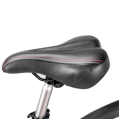 NAKTO 26“ Ranger 2Electric BicycleEvolveRide