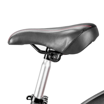 NAKTO 26“ Ranger 2Electric BicycleEvolveRide