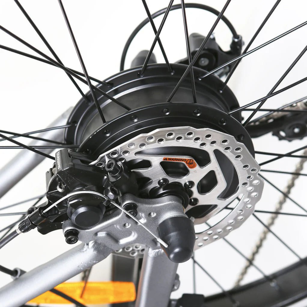 NAKTO 26" Santa MonicaElectric BicycleEvolveRide