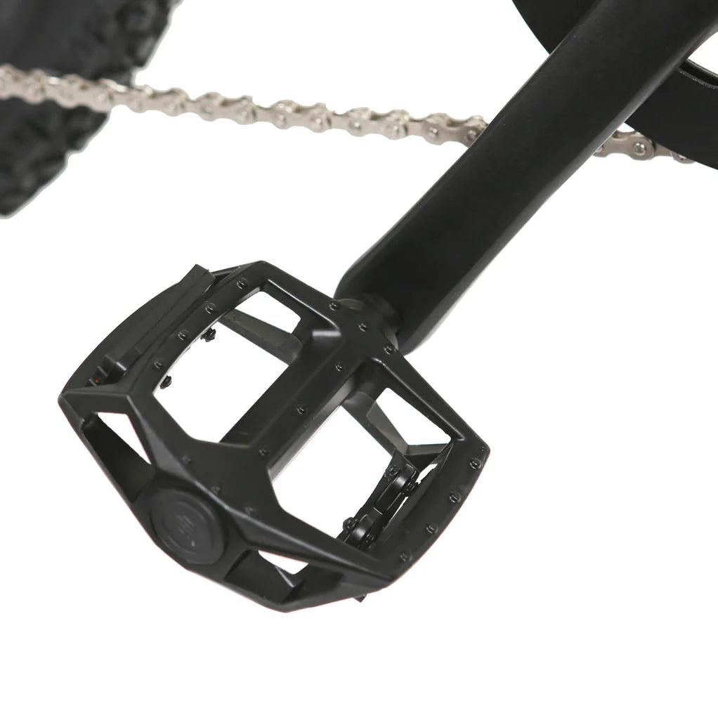 NAKTO 26" Santa MonicaElectric BicycleEvolveRide