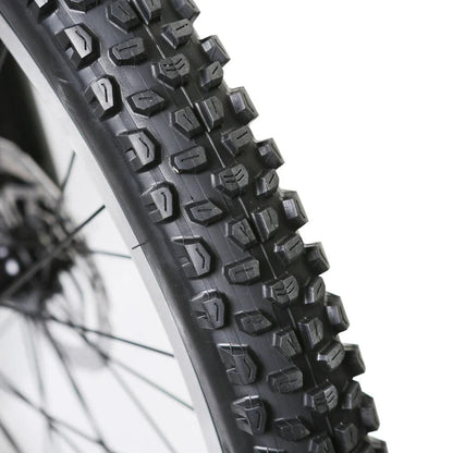 NAKTO 26" Santa MonicaElectric BicycleEvolveRide