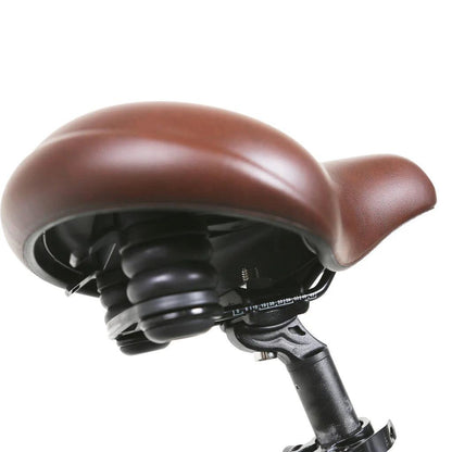 NAKTO 26" Santa MonicaElectric BicycleEvolveRide