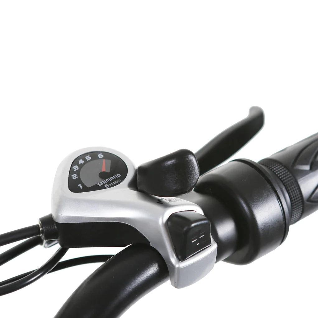 NAKTO 26" Santa MonicaElectric BicycleEvolveRide