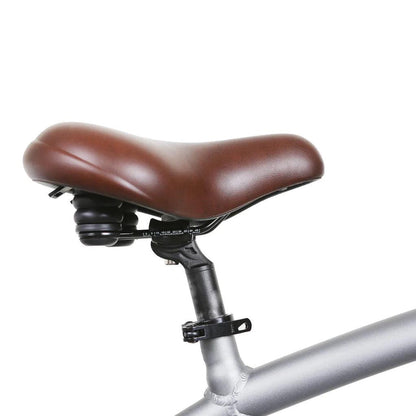 NAKTO 26" Santa MonicaElectric BicycleEvolveRide
