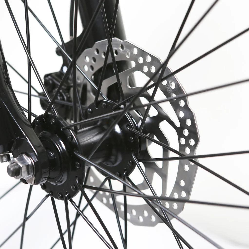 NAKTO 26" Santa MonicaElectric BicycleEvolveRide