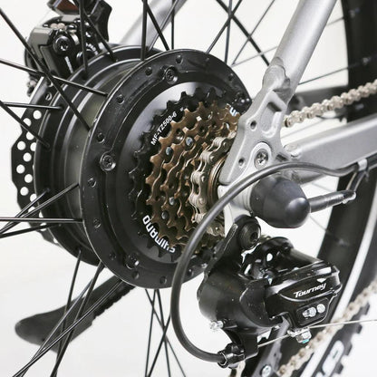 NAKTO 26" Santa MonicaElectric BicycleEvolveRide