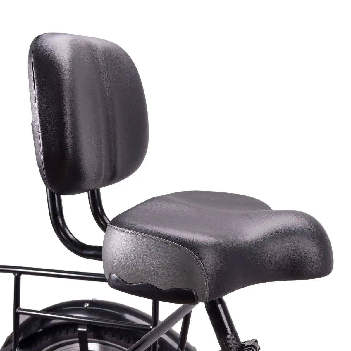 NAKTO S02Electric BicycleEvolveRide