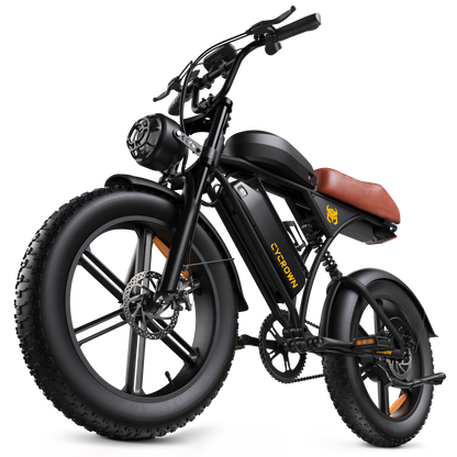 Cycrown Run Plus dual battery e-bike studio shot