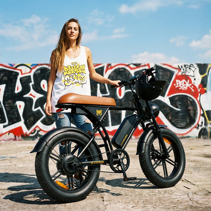 Cycrown Run S vintage moped e-bike with single battery